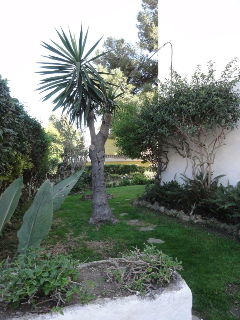Apartamentos Elysium Torremolinos Exterior photo